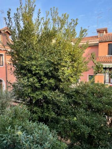 Appartement Ca' Della Carita' à Venise Extérieur photo
